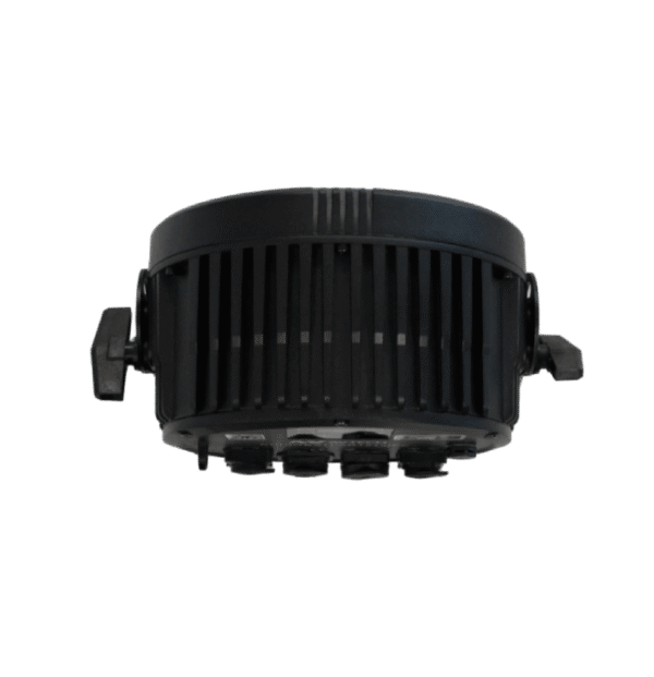 rhinobatpar1215IP (2)