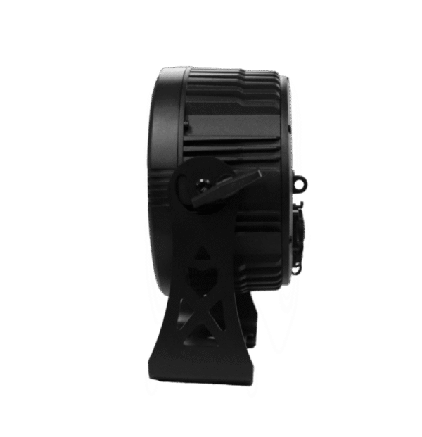 rhinobatpar1215IP (3)